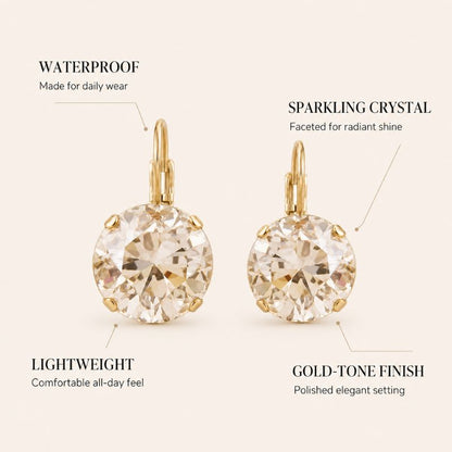 Crystal Leverback Earrings